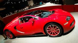 Frankfurt Motor Show 2011 na żywo - auta seryjne - inne zdjęcie