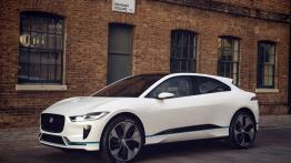 Przegląd oferty samochodów elektrycznych w Polsce