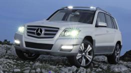 Mercedes GLK Vision Freeside - widok z przodu