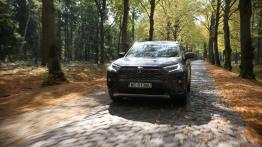 Toyota RAV4 AWD-i Hybrid – czy napęd ma jeszcze znaczenie?