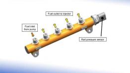 Małe i niedoceniane
