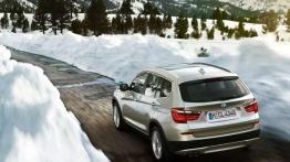 BMW X3 ugrzecznione