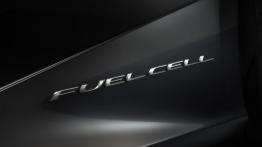 Wodorowy Lexus jeszcze w tej dekadzie