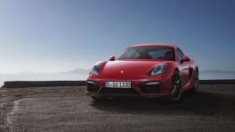 Porsche Cayman 981c Coupe