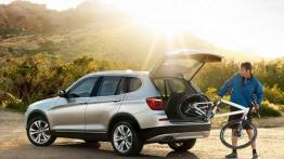 BMW X3 ugrzecznione