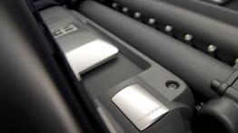 Bugatti Veyron Grand Sport Vitesse - inny podzespół mechaniczny