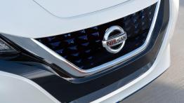 Nissan Leaf e+ - grill