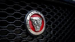 Jaguar F-Pace - duży kot w wielkim świecie