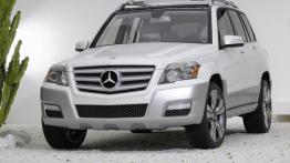 Mercedes GLK Vision Freeside - widok z przodu