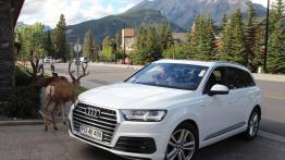 Audi Q7 3.0 TDI quattro - nowe rozdanie