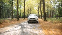 Toyota RAV4 AWD-i Hybrid – czy napęd ma jeszcze znaczenie?