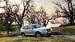BMW X3 ugrzecznione