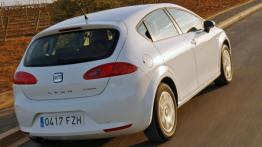 Seat Leon Ecomotive - widok z tyłu