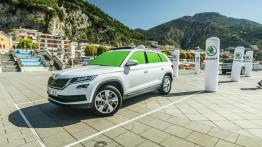 Cofanie i parkowanie z zamkniętymi oczami – systemy wspomagania parkowania w Skodzie