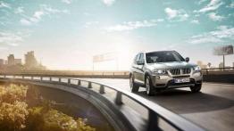 BMW X3 ugrzecznione