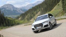Audi Q7 3.0 TDI quattro - nowe rozdanie