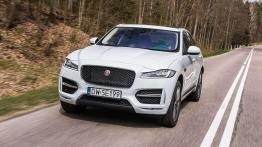 Jaguar F-Pace - duży kot w wielkim świecie