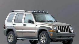 Jeep Liberty - born to be free