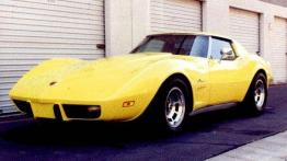 Definicja sportowego samochodu - Chevrolet Corvette