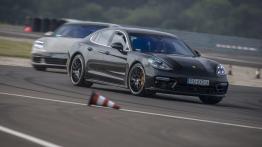 Porsche na torze – jak ryba w wodzie