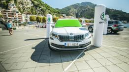 Cofanie i parkowanie z zamkniętymi oczami – systemy wspomagania parkowania w Skodzie