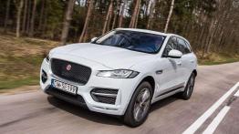 Jaguar F-Pace - duży kot w wielkim świecie