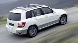 Mercedes GLK Vision Freeside - widok z tyłu