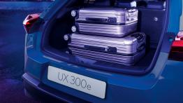 Lexus UX 300e - baga¿nik