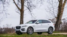 Jaguar F-Pace - duży kot w wielkim świecie