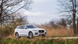 Jaguar F-Pace - duży kot w wielkim świecie