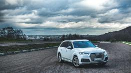 Audi Q7 3.0 TDI - na innym kursie