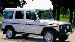 TOP 10| Terenówki na weekendowe wojaże