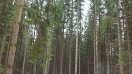 Toyota Land Cruiser V8 - auto z półki wyższej niż inne