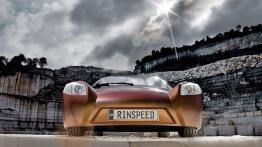  Rinspeed iChange