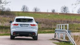 Jaguar F-Pace - duży kot w wielkim świecie