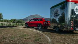 Cofanie i parkowanie z zamkniętymi oczami – systemy wspomagania parkowania w Skodzie