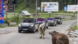 Porsche Performance Drive - szybko, dokładnie i... oszczędnie