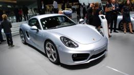 Frankfurt Motor Show 2013 - samochody seryjne