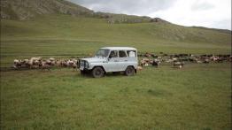 TOP 10| Terenówki na weekendowe wojaże