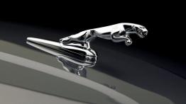 Jaguar X-type - logo