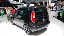 Frankfurt Motor Show 2013 - samochody seryjne