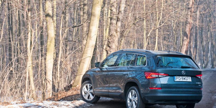 Skoda Kodiaq 2.0 TDI - posmak rewolucji