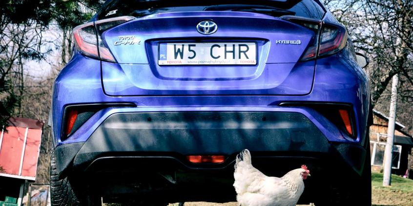 TOYOTA C-HR – ekologiczna, ale czy praktyczna?