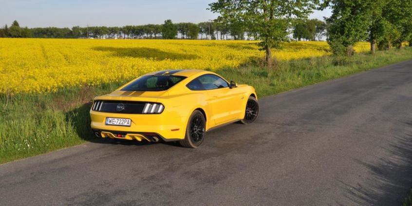 Ford Mustang GT – coupe w stylu Detroit