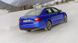 Skoda 4x4 - walka z lodem