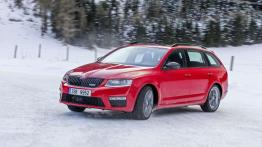 Skoda 4x4 - walka z lodem