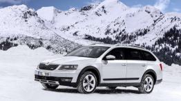 Skoda 4x4 - walka z lodem