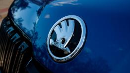 Skoda Kodiaq RS – 10 faktów, które musisz poznać przed zakupem