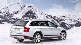 Skoda 4x4 - walka z lodem