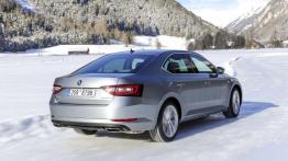 Skoda 4x4 - walka z lodem